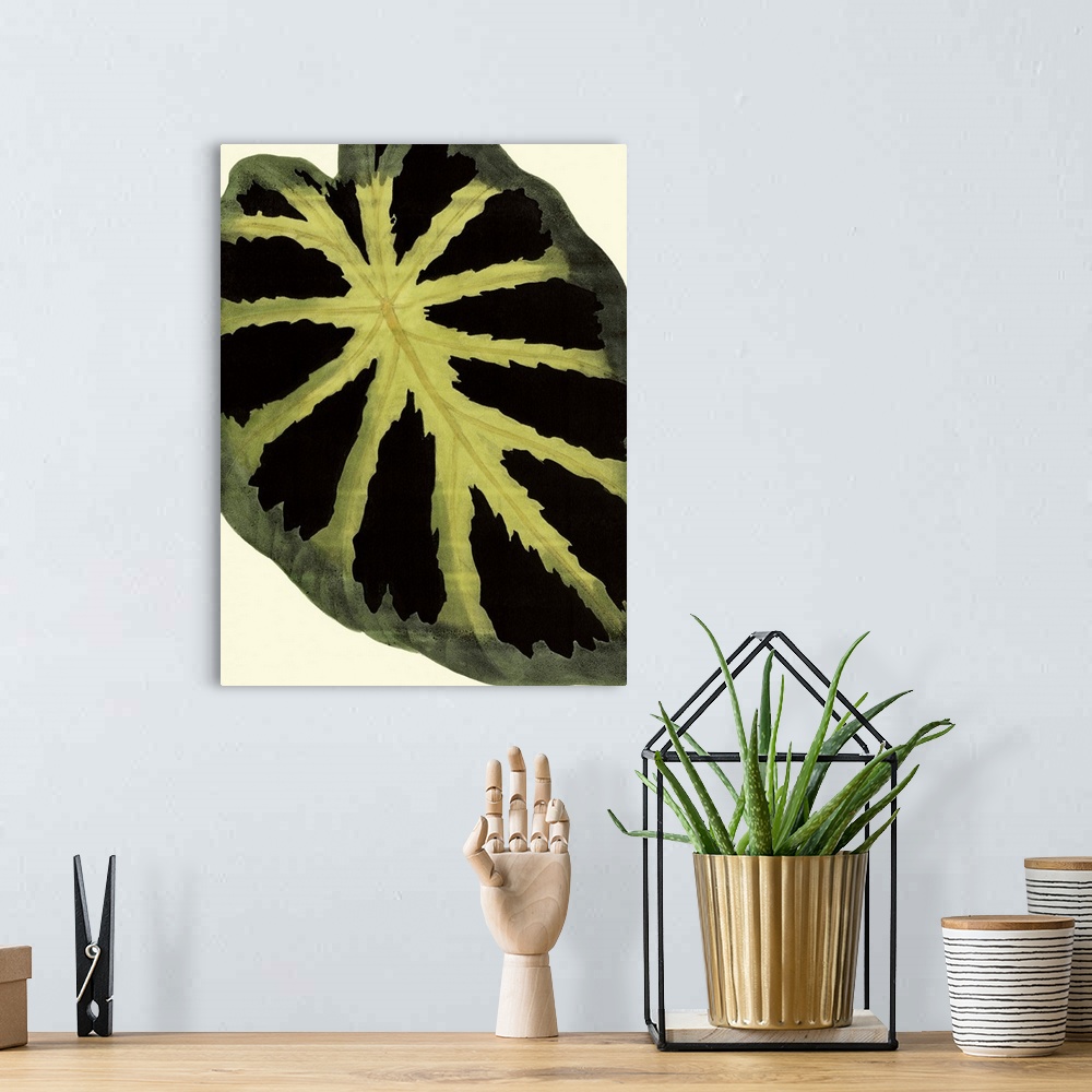 A bohemian room featuring Contemporary botanical illustration of a leaf in a vintage style.