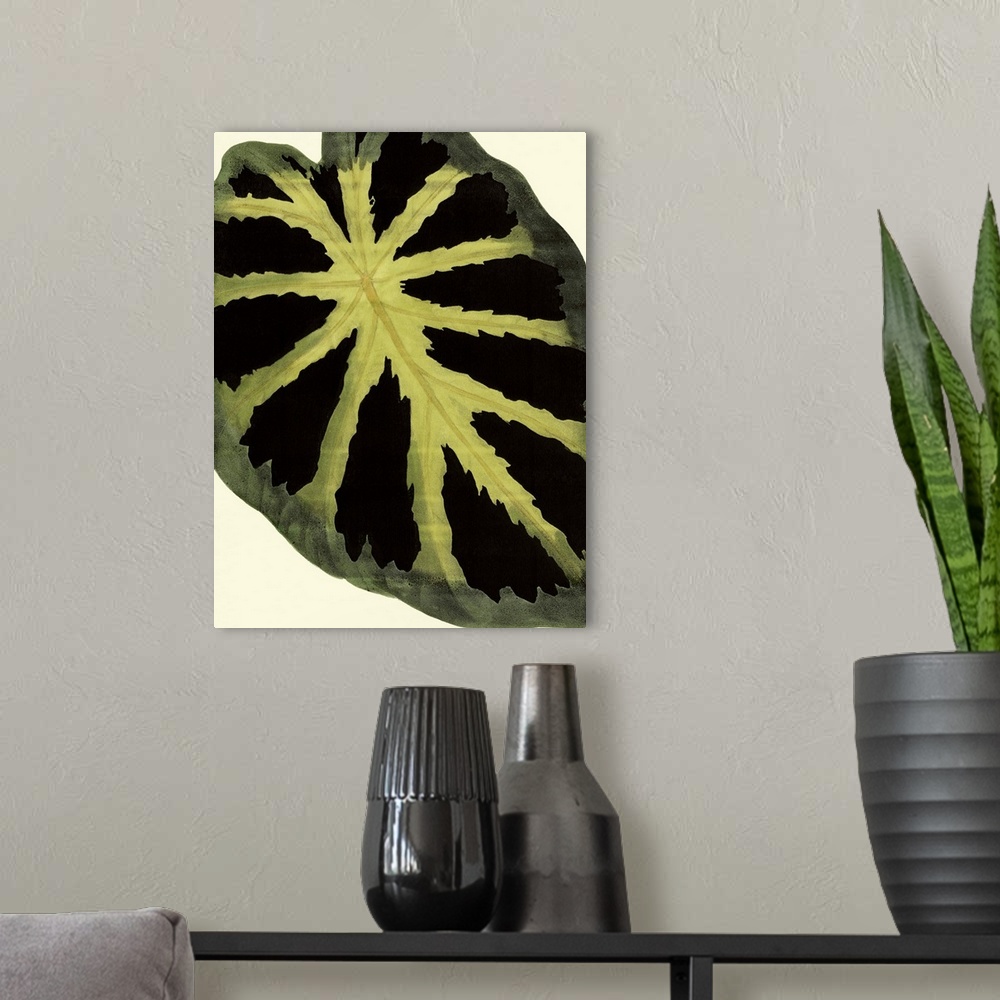 A modern room featuring Contemporary botanical illustration of a leaf in a vintage style.