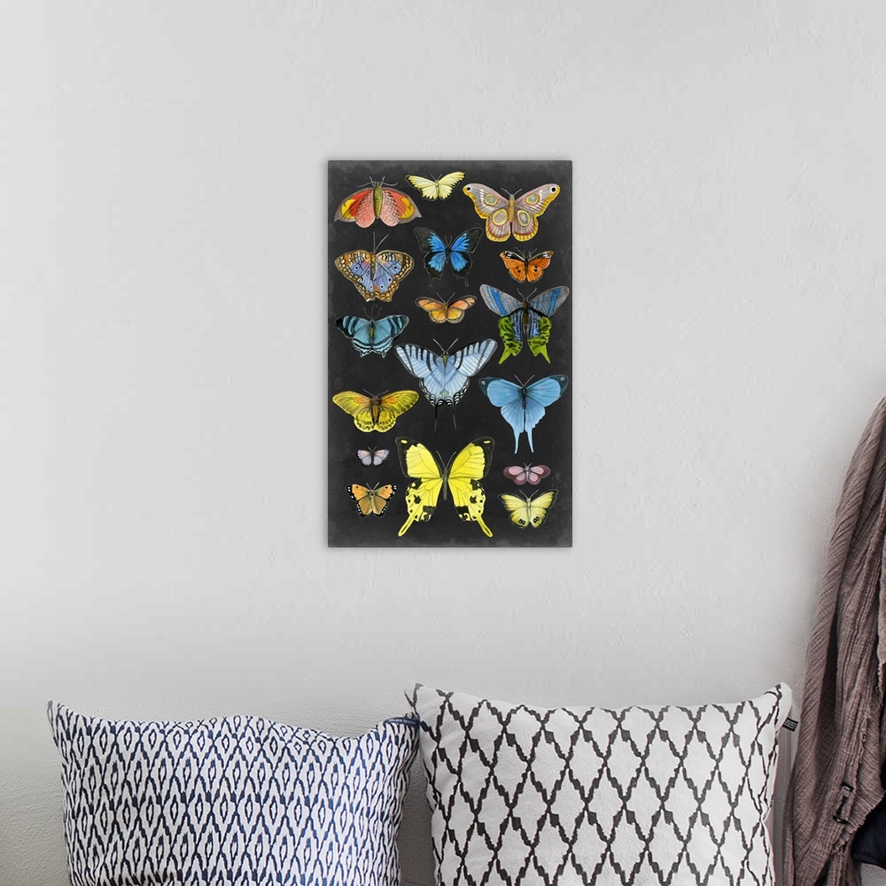 A bohemian room featuring Graphic Butterfly Taxonomy II