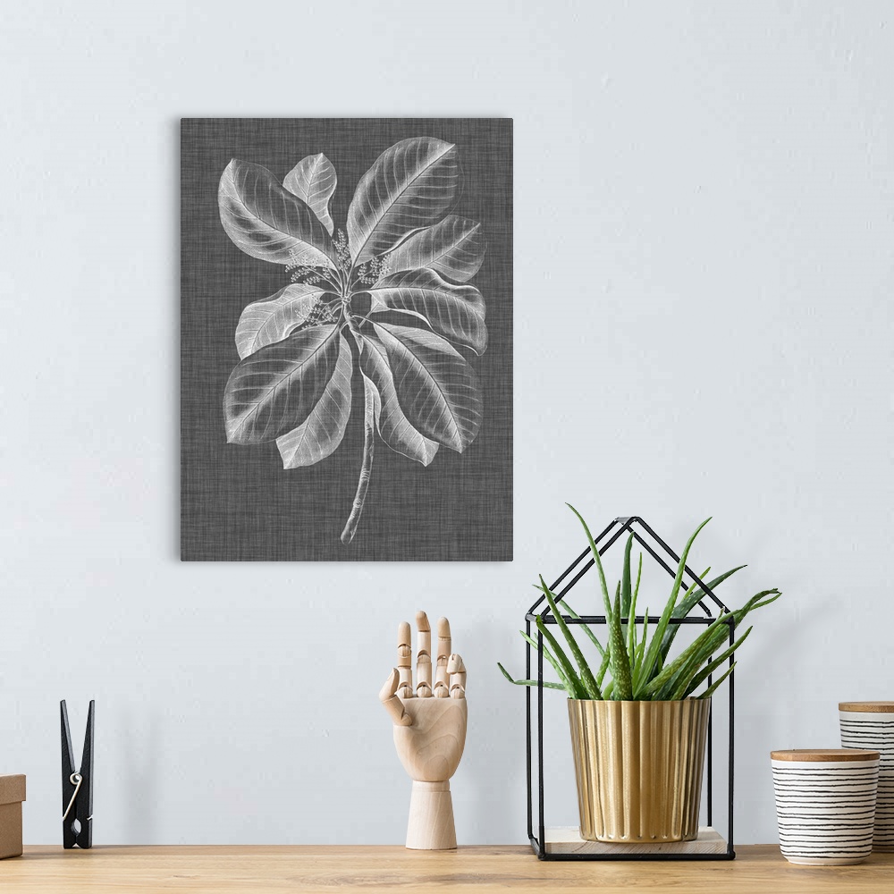 A bohemian room featuring Black, white, and gray illustrated foliage on a vertical background.