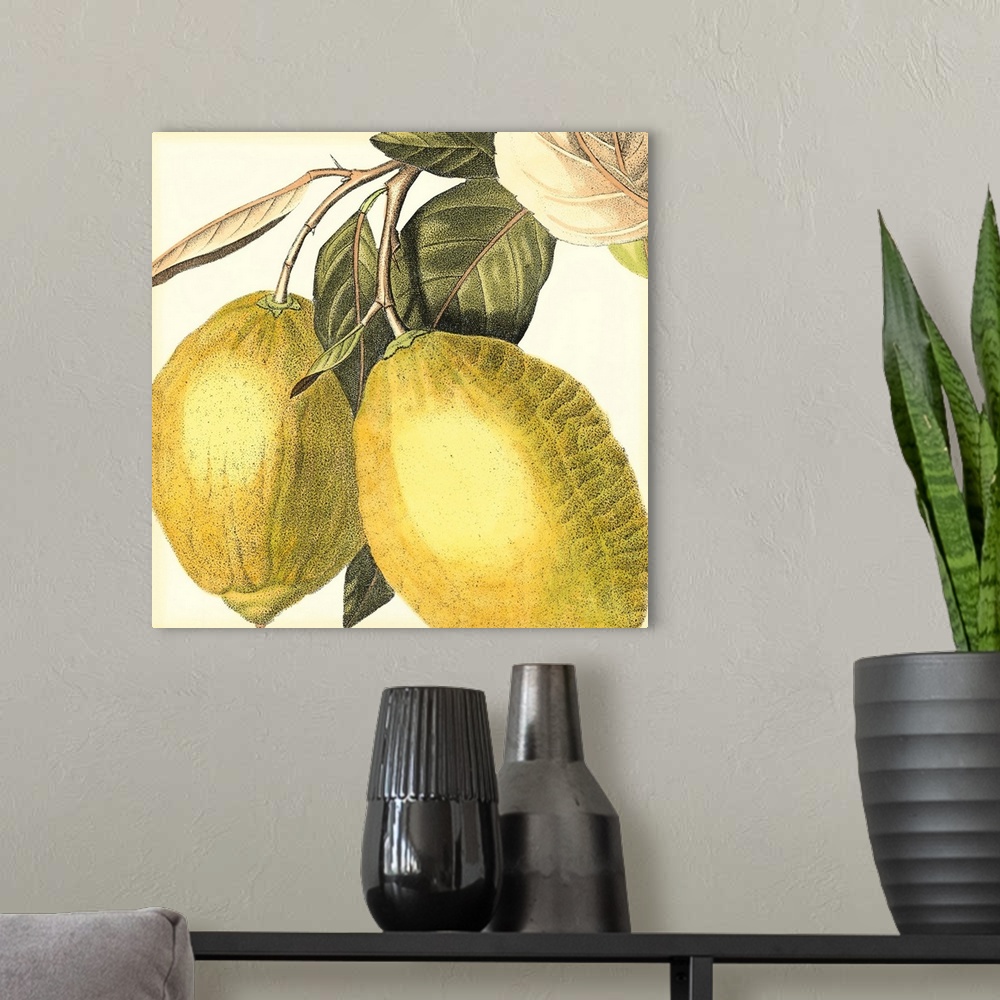 A modern room featuring Graphic Lemon