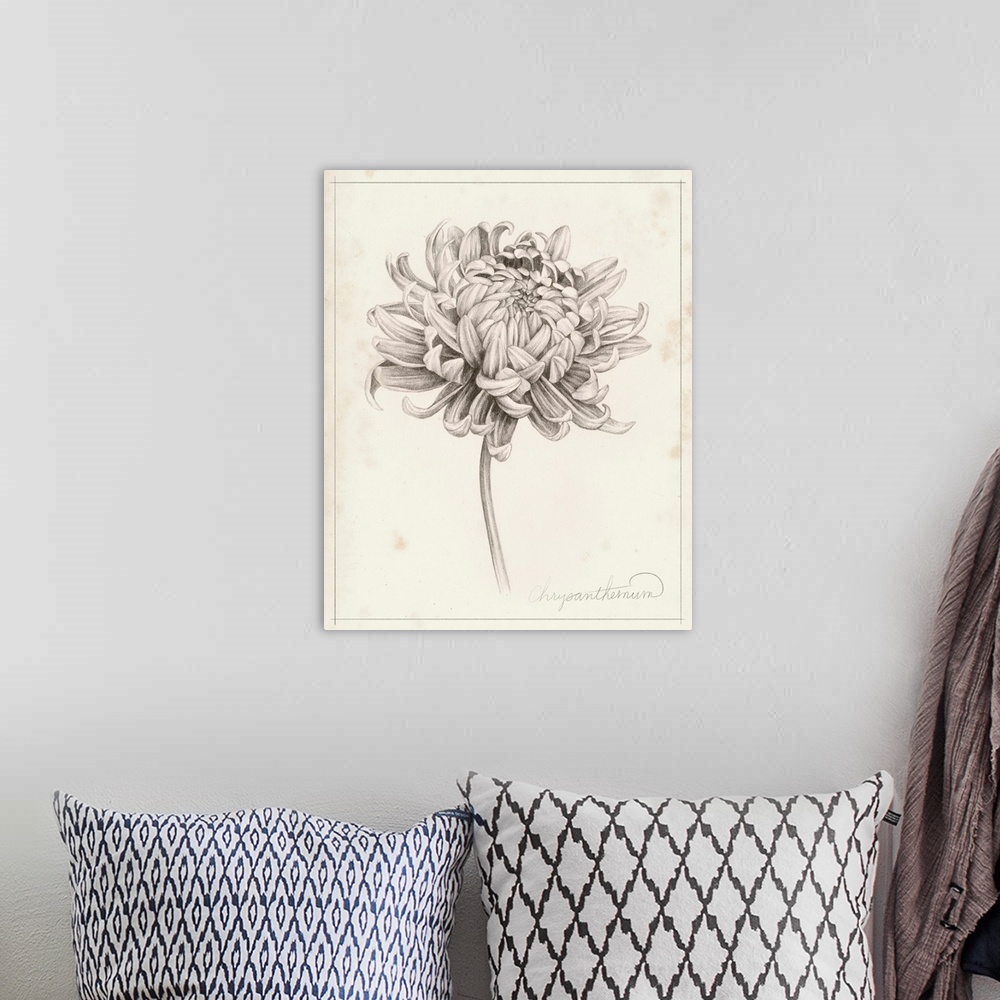 A bohemian room featuring Graphite Chrysanthemum Study I