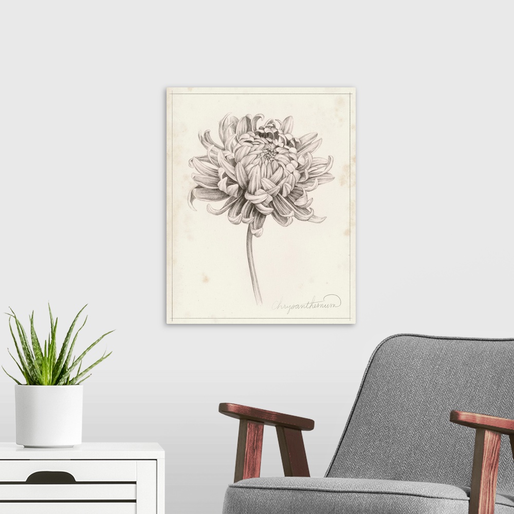 A modern room featuring Graphite Chrysanthemum Study I