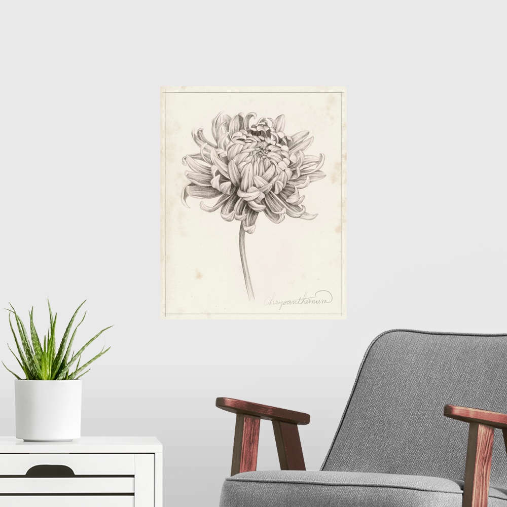 A modern room featuring Graphite Chrysanthemum Study I