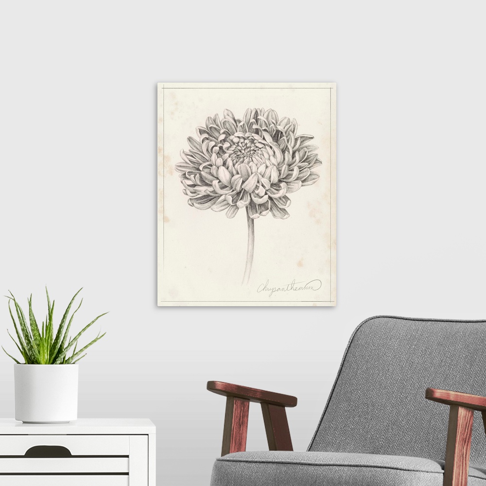 A modern room featuring Graphite Chrysanthemum Study II