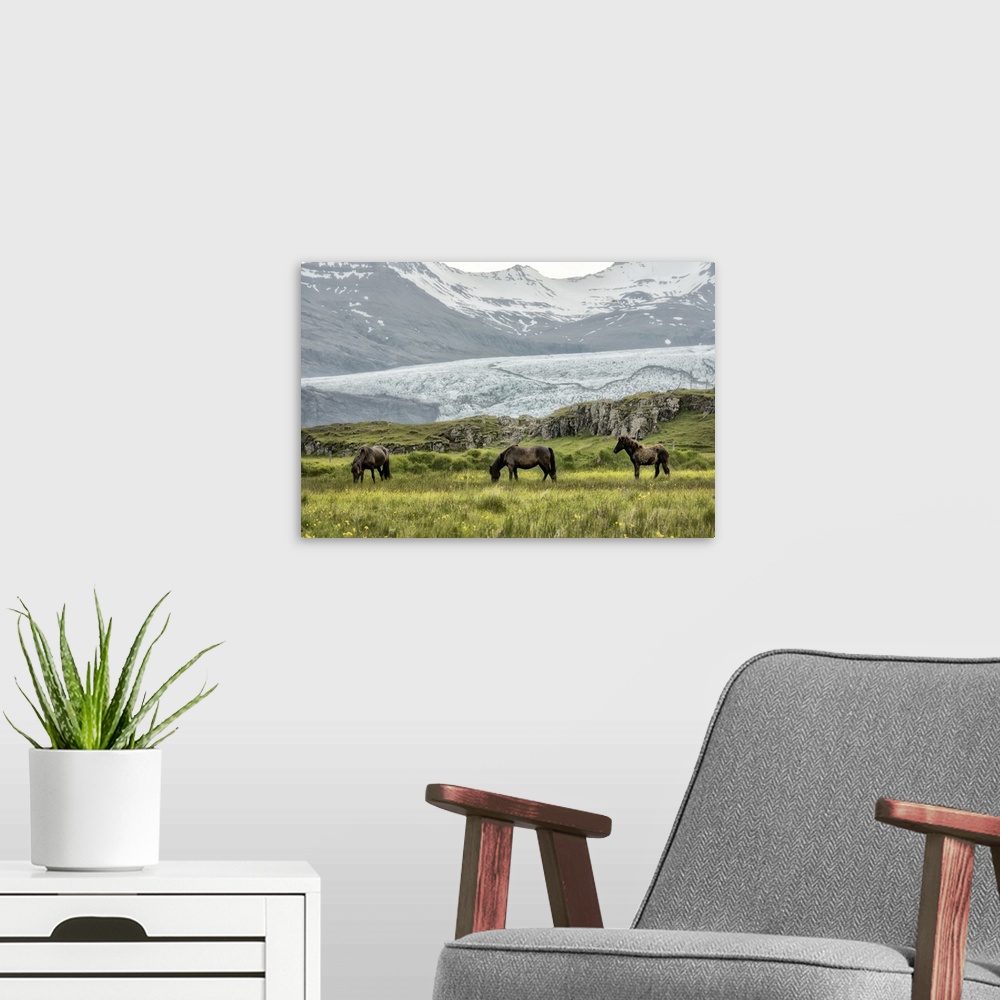 A modern room featuring Photograph of brown horses grazing in a grassy field with snowy mountains in the background.