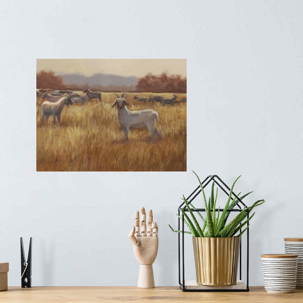 A bohemian room featuring A contemporary horizontal painting of a group of goats in a field with one goat looking toward th...