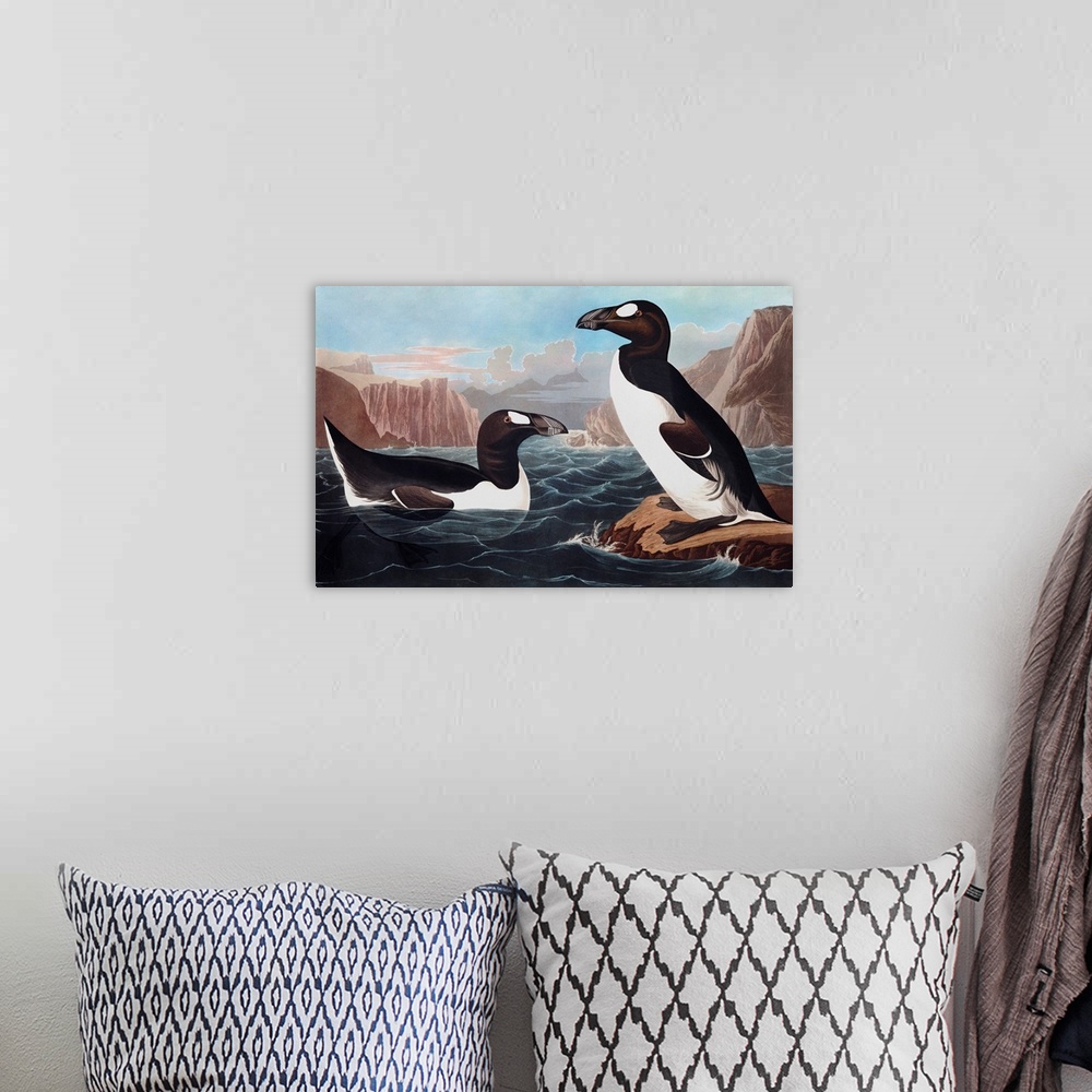A bohemian room featuring Great Auk