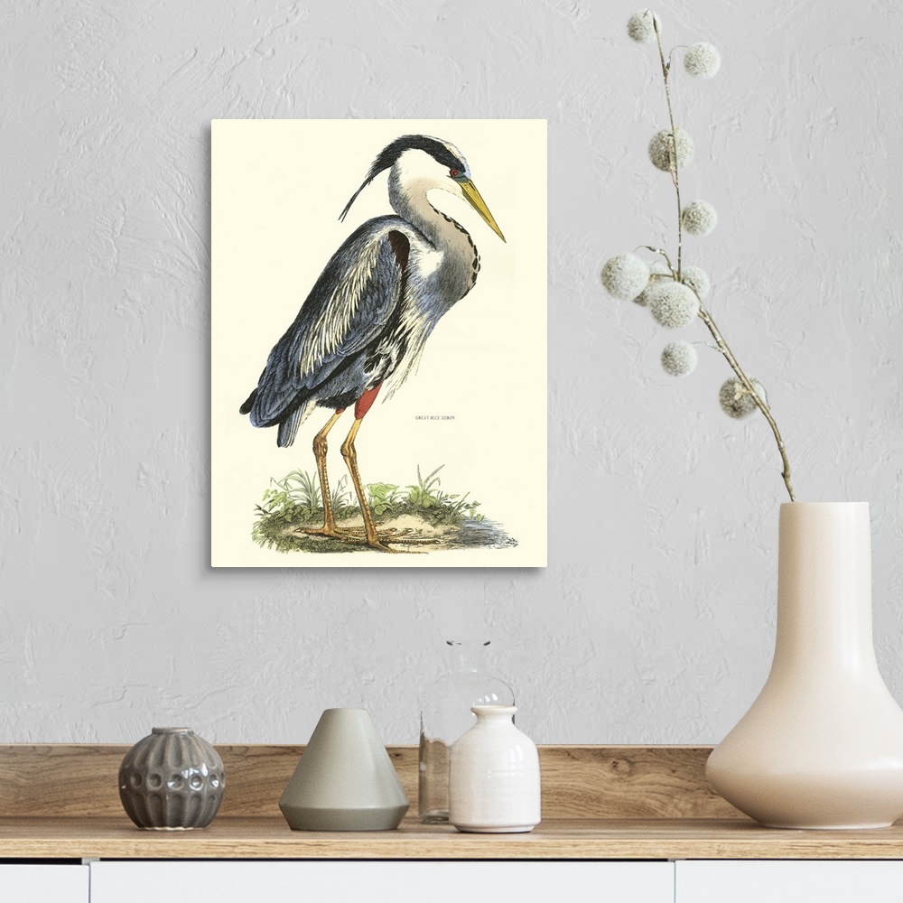 A farmhouse room featuring Contemporary artwork of a vintage style bird illustration.