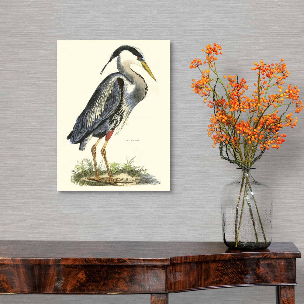 A traditional room featuring Contemporary artwork of a vintage style bird illustration.
