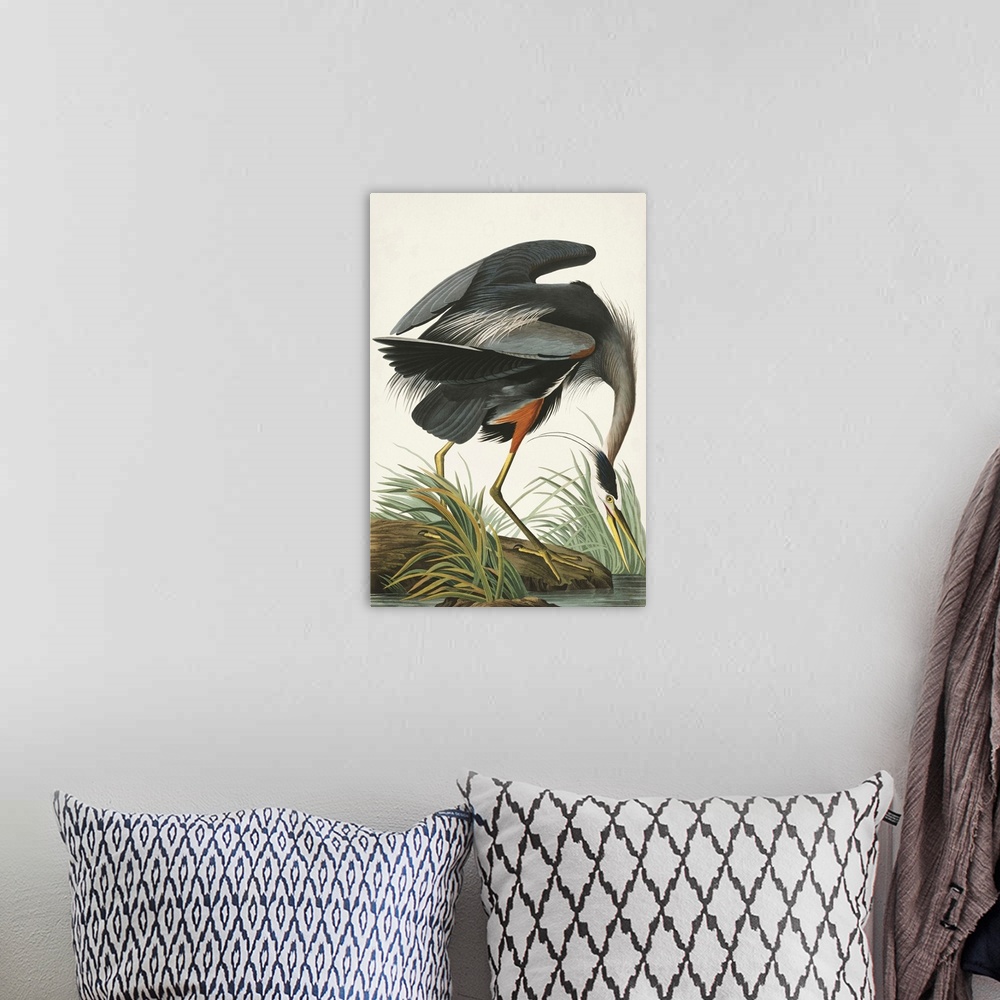 A bohemian room featuring Great Blue Heron