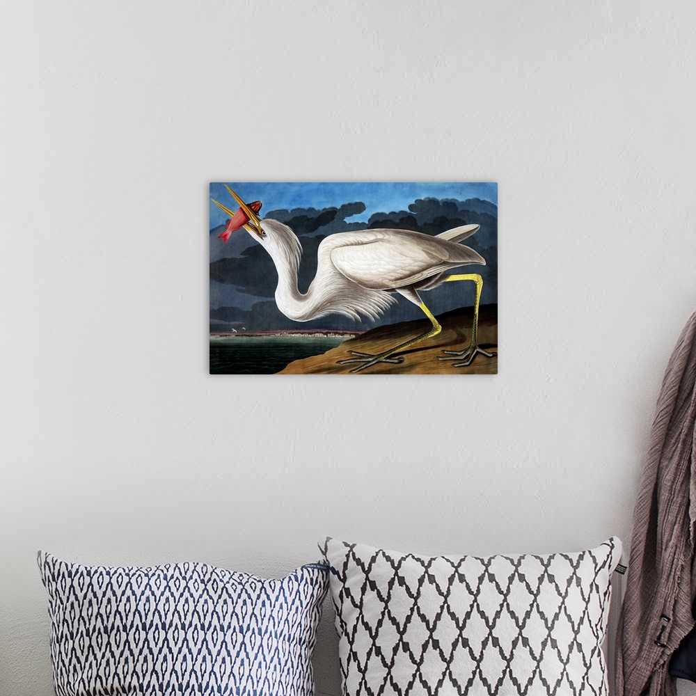 A bohemian room featuring Great White Heron