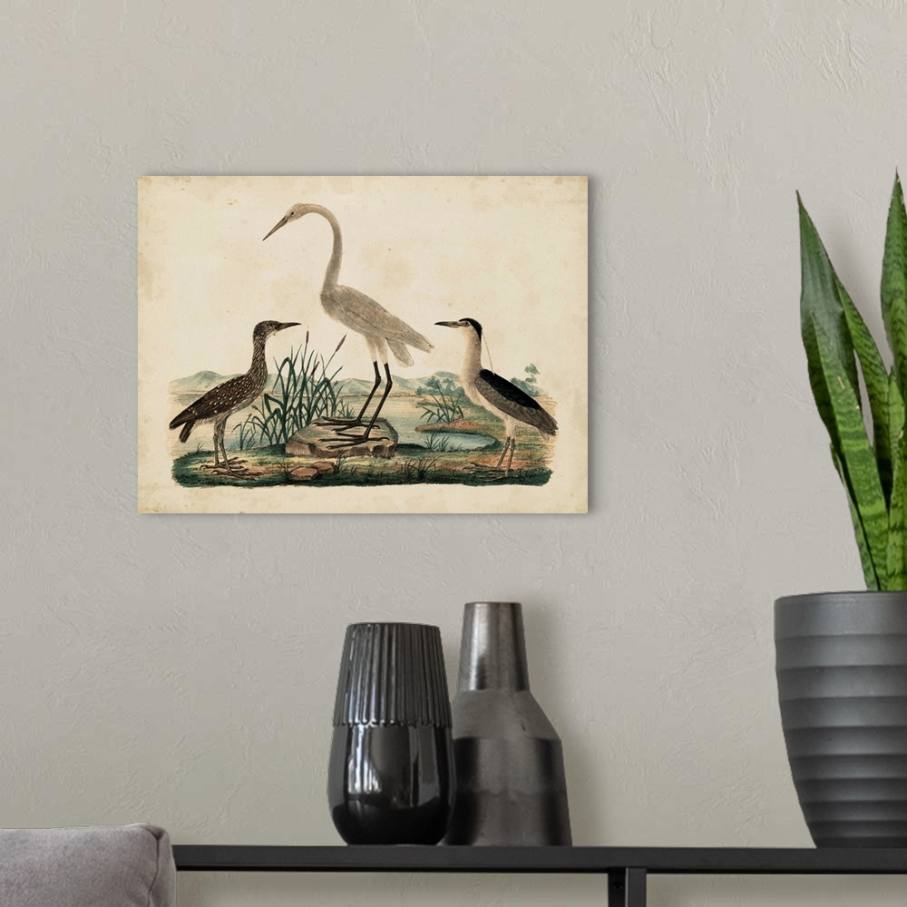 A modern room featuring Contemporary artwork of a vintage stylized scientific illustration of birds.