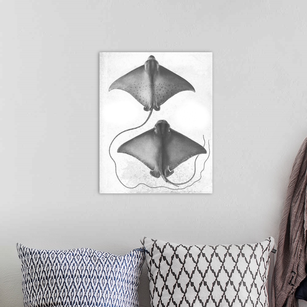 A bohemian room featuring Grey-scale illustration of a stingray.
