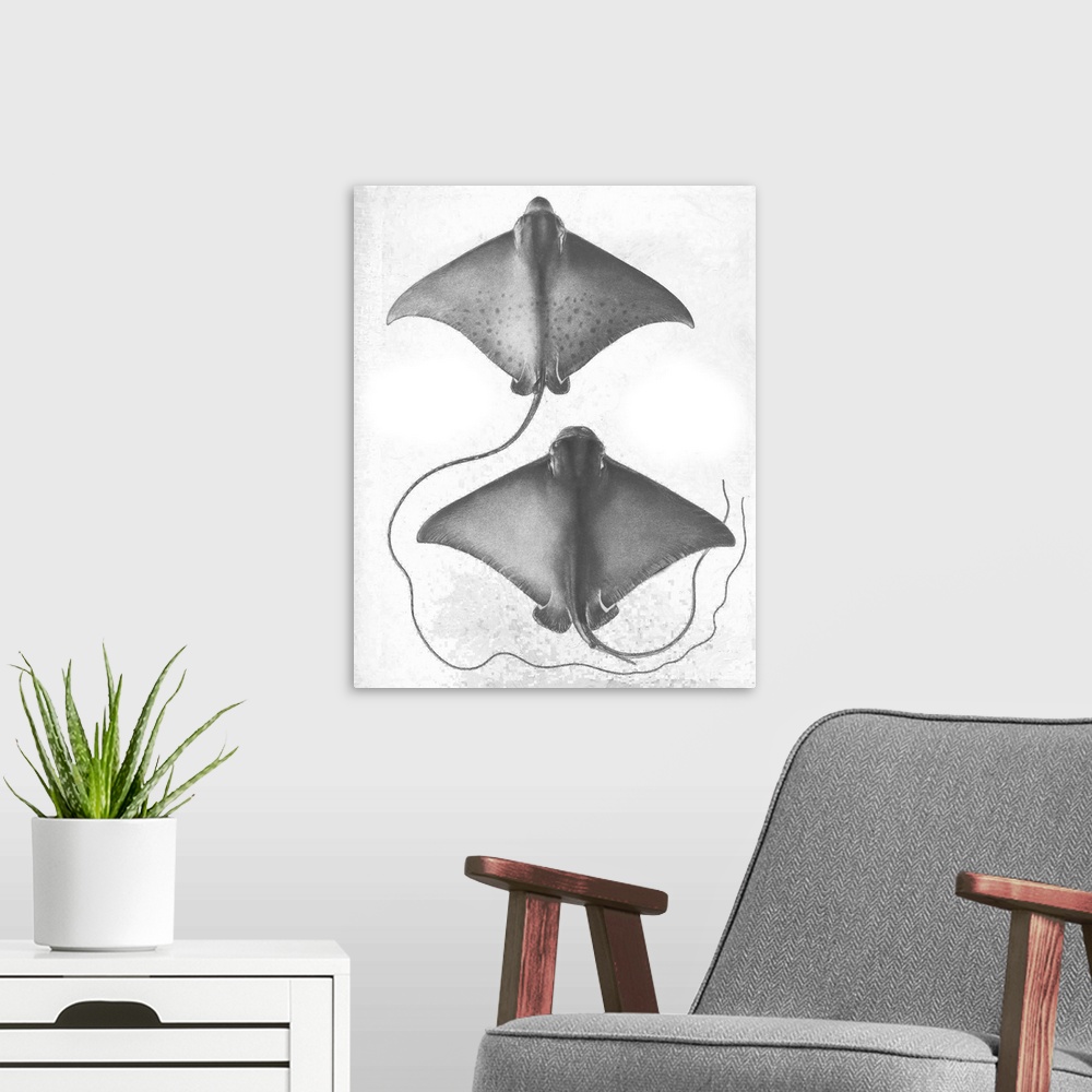 A modern room featuring Grey-scale illustration of a stingray.