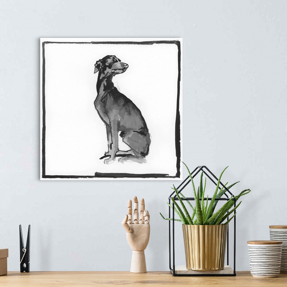 A bohemian room featuring Greyhound