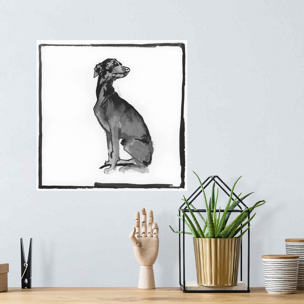 A bohemian room featuring Greyhound