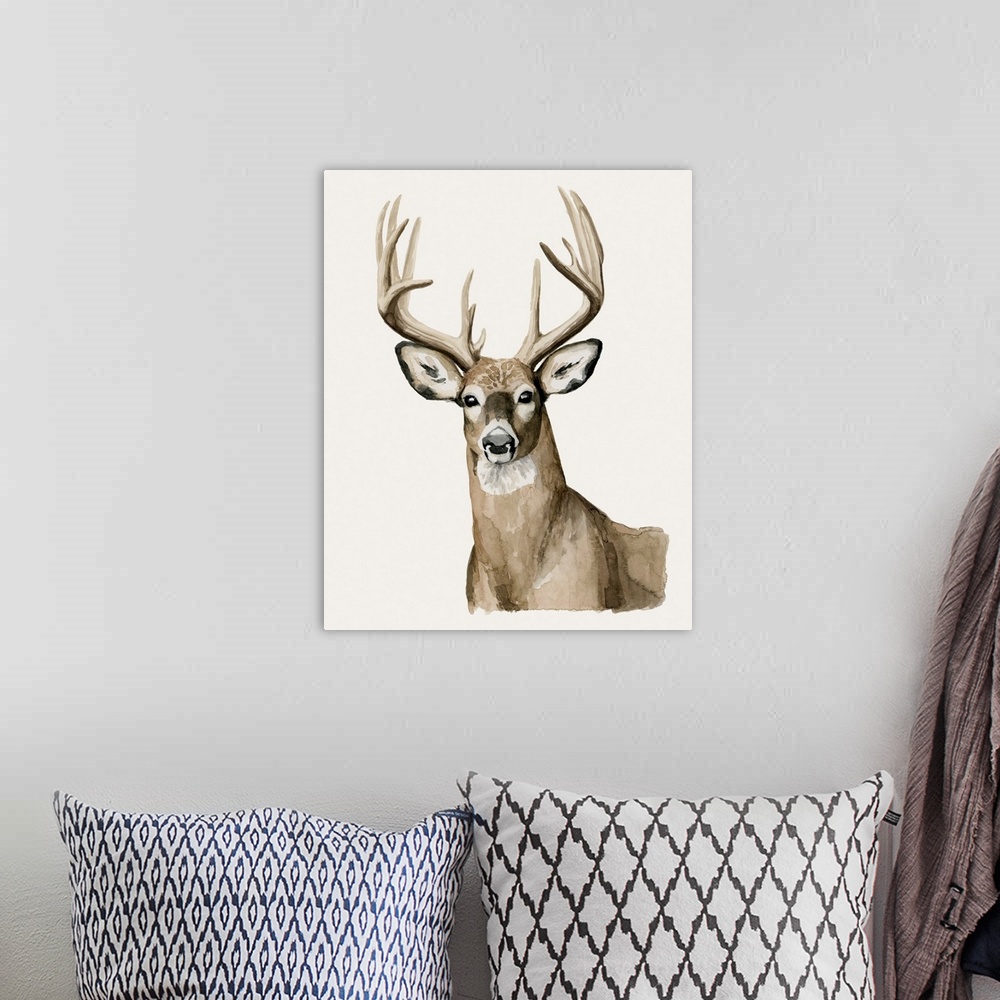 A bohemian room featuring Handsome Whitetail I