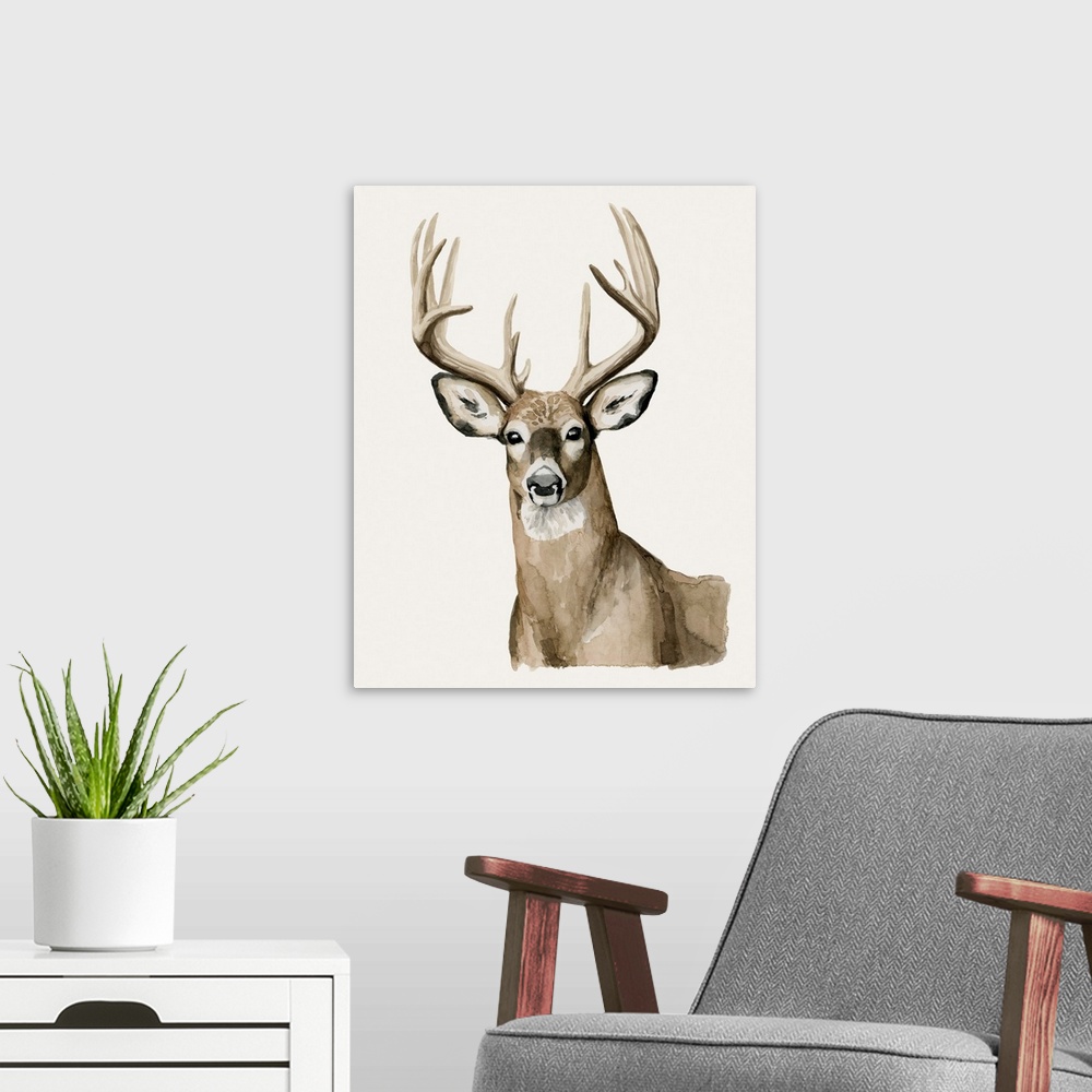 A modern room featuring Handsome Whitetail I