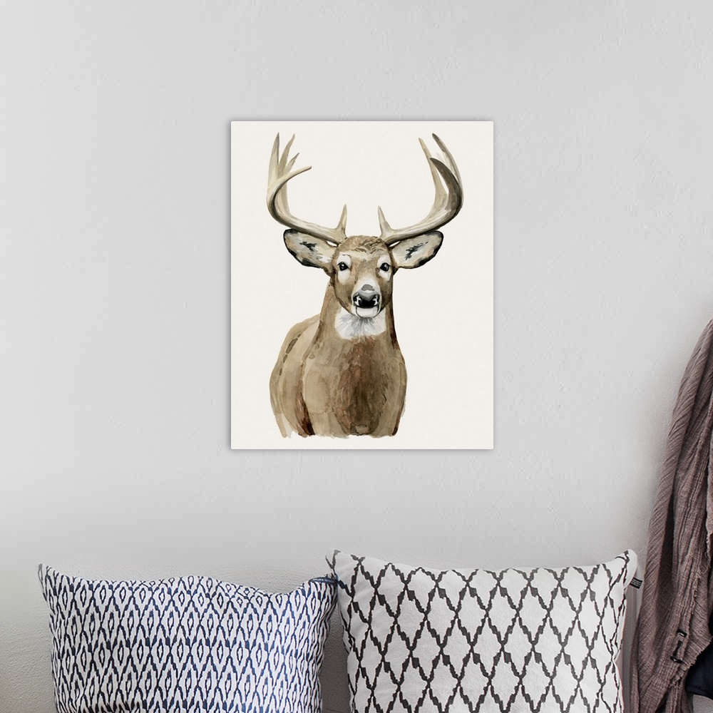 A bohemian room featuring Handsome Whitetail II