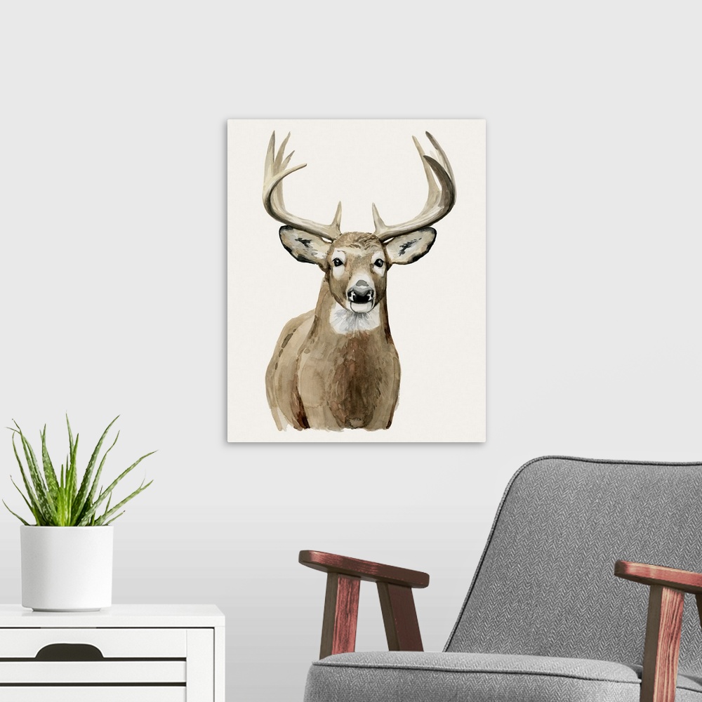A modern room featuring Handsome Whitetail II