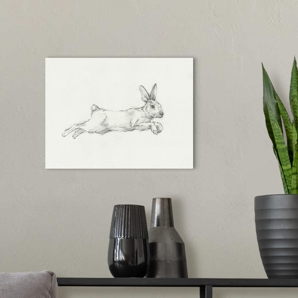 A modern room featuring Hare Pencil Study I