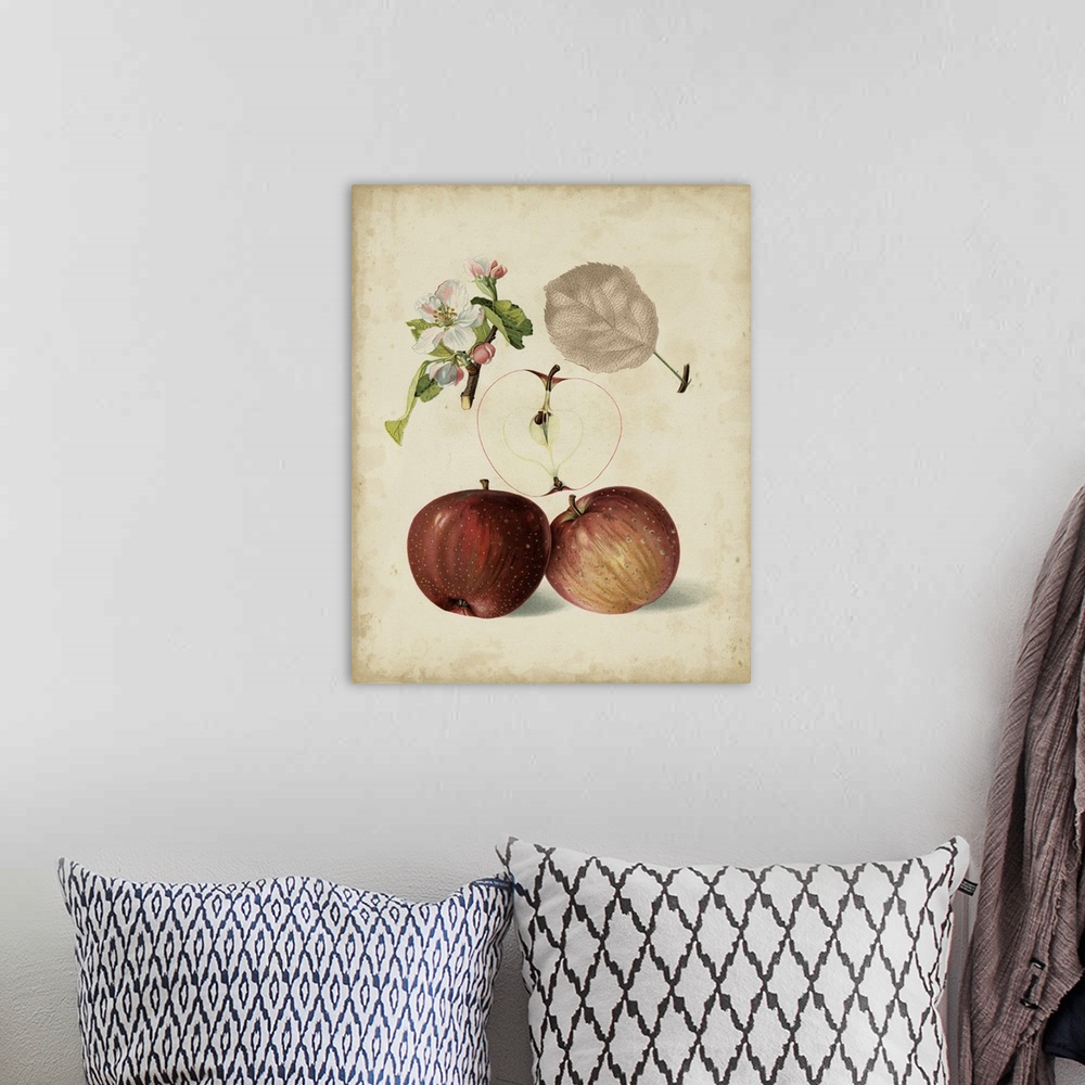 A bohemian room featuring Harvest Apples I