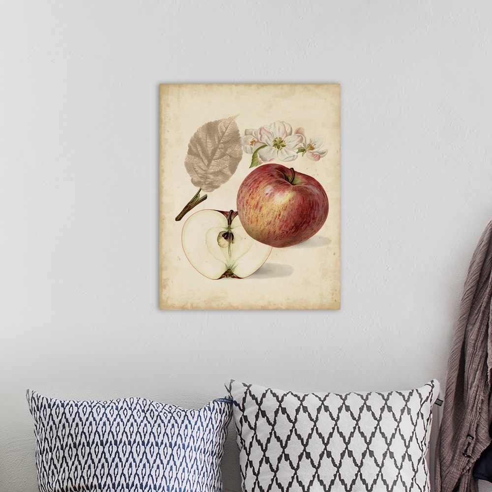 A bohemian room featuring Harvest Apples II
