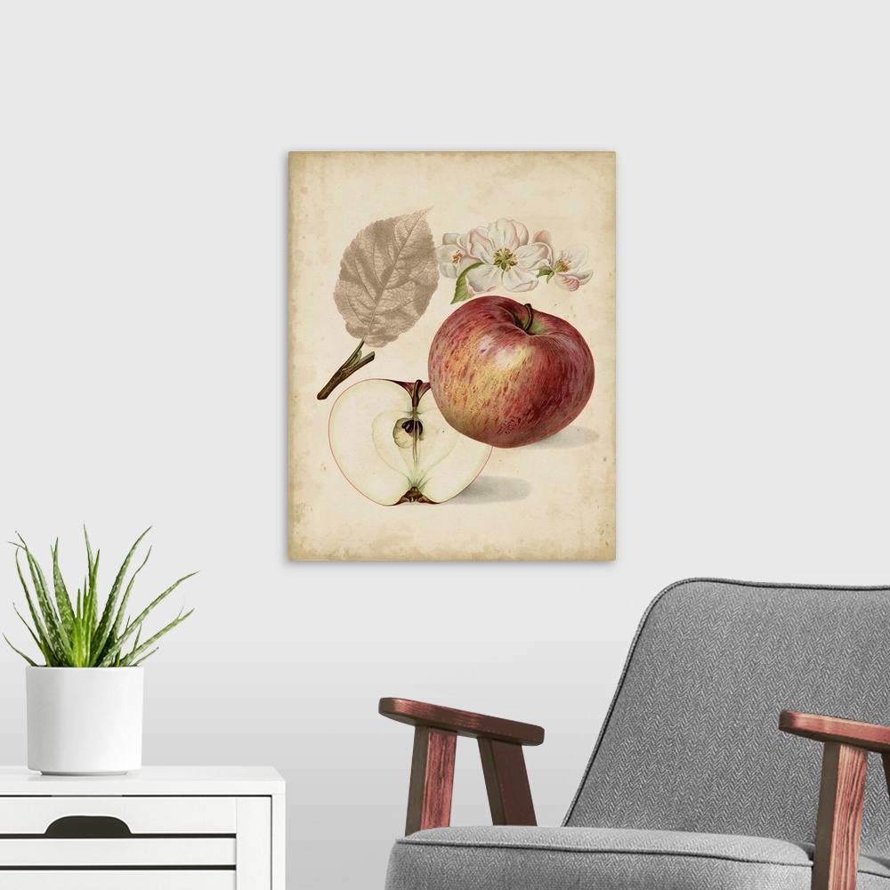 A modern room featuring Harvest Apples II
