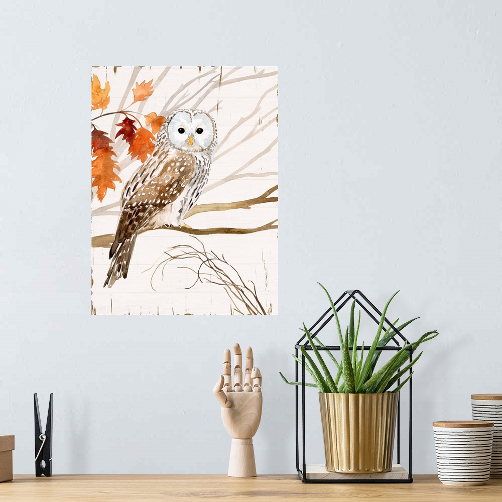 A bohemian room featuring Harvest Owl I