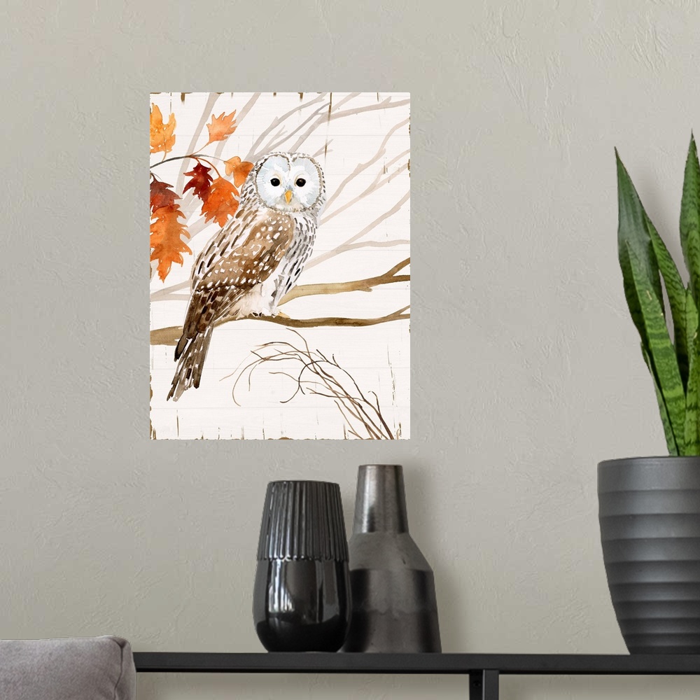 A modern room featuring Harvest Owl I
