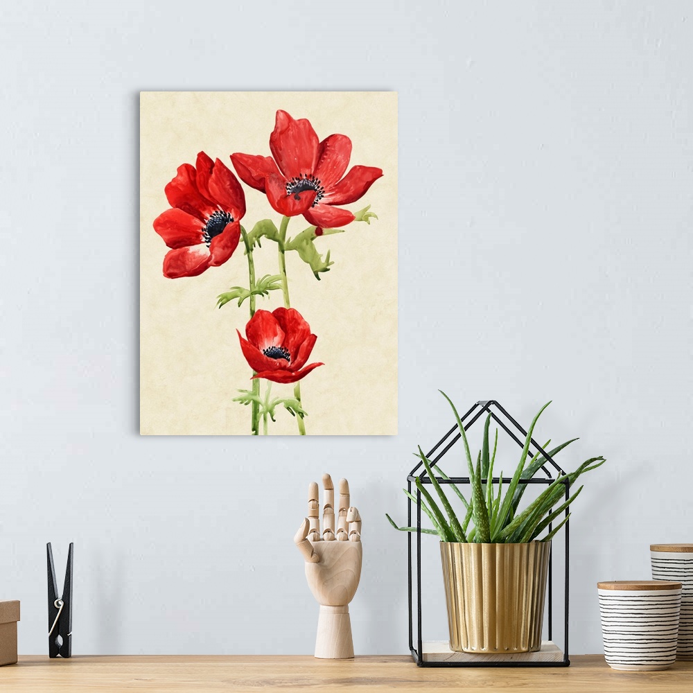 A bohemian room featuring Botanical art print of stunning red anemone flowers on a neutral background.