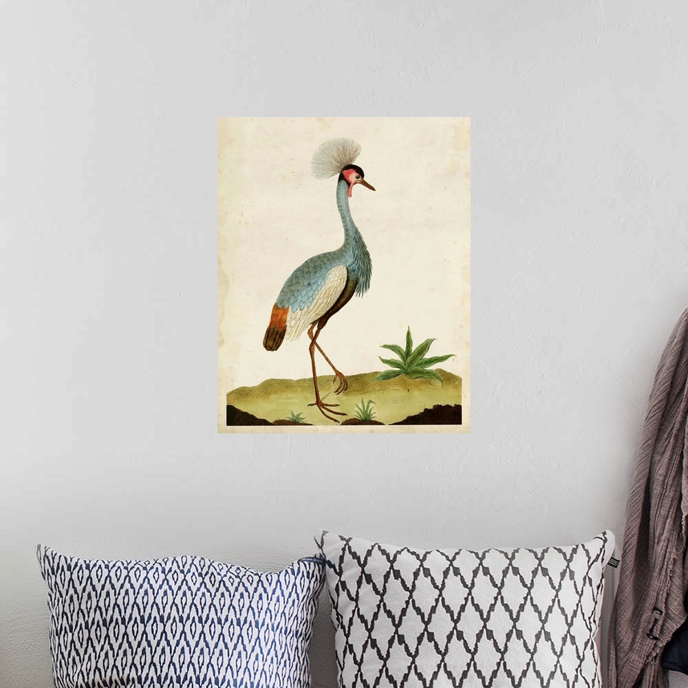 A bohemian room featuring Heron Portrait I