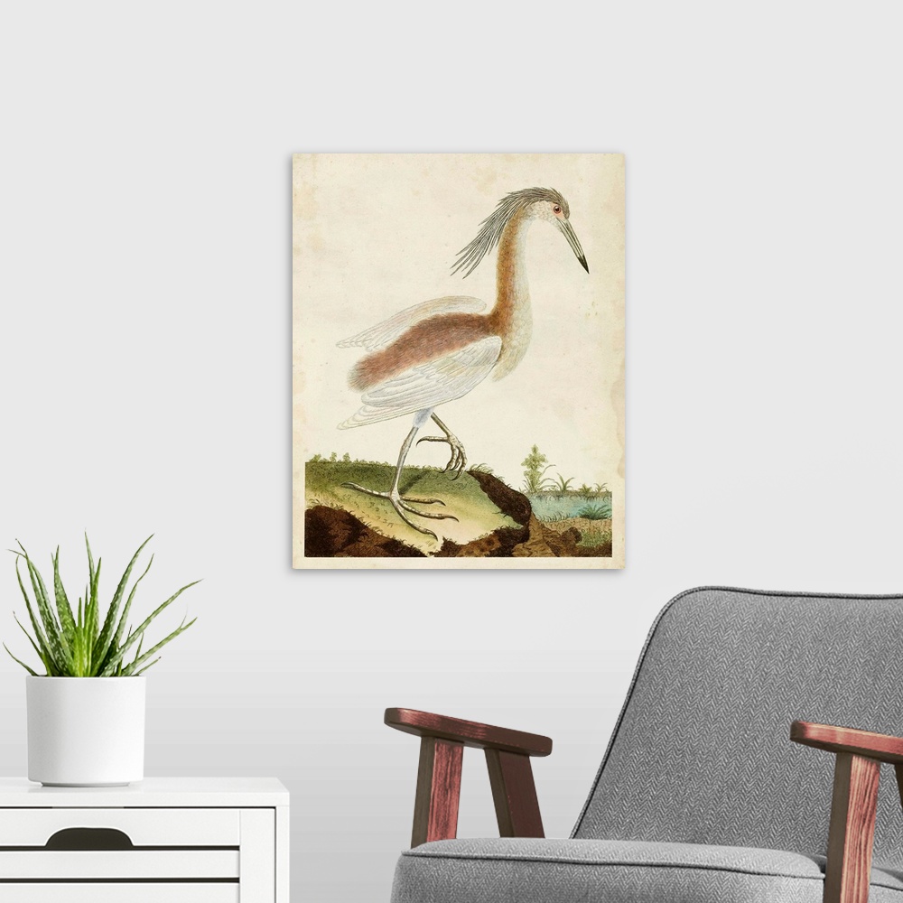 A modern room featuring Heron Portrait III