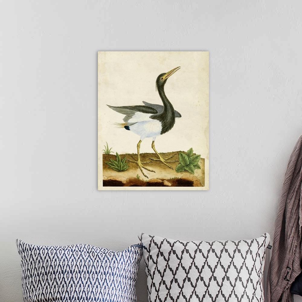A bohemian room featuring Heron Portrait V
