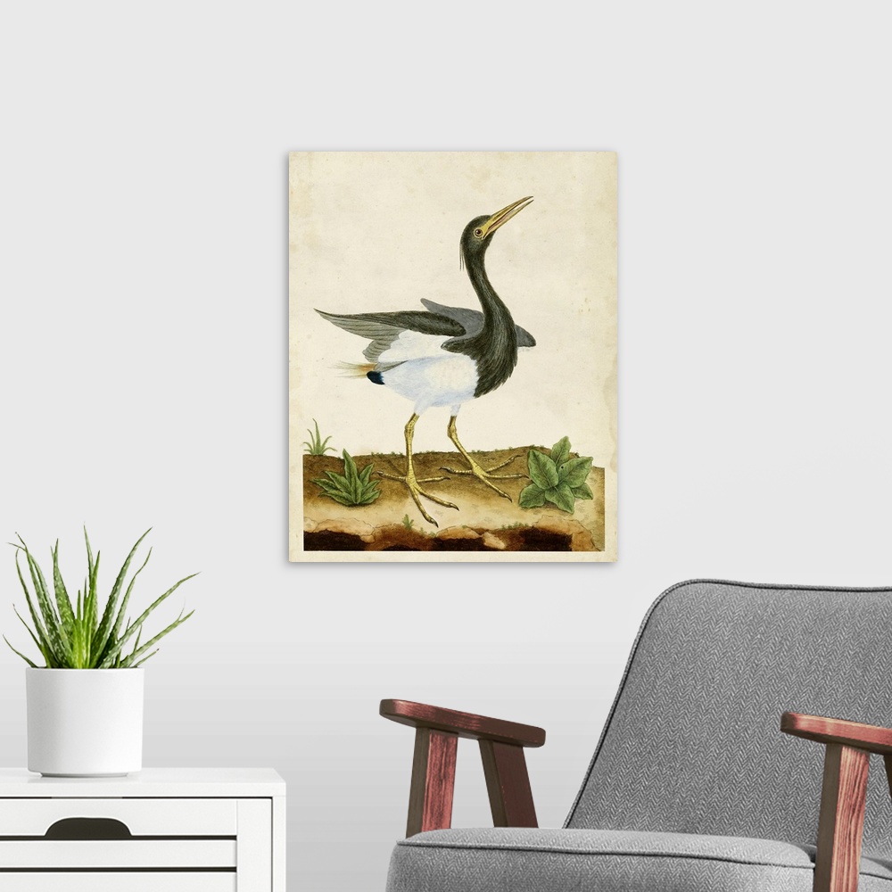 A modern room featuring Heron Portrait V
