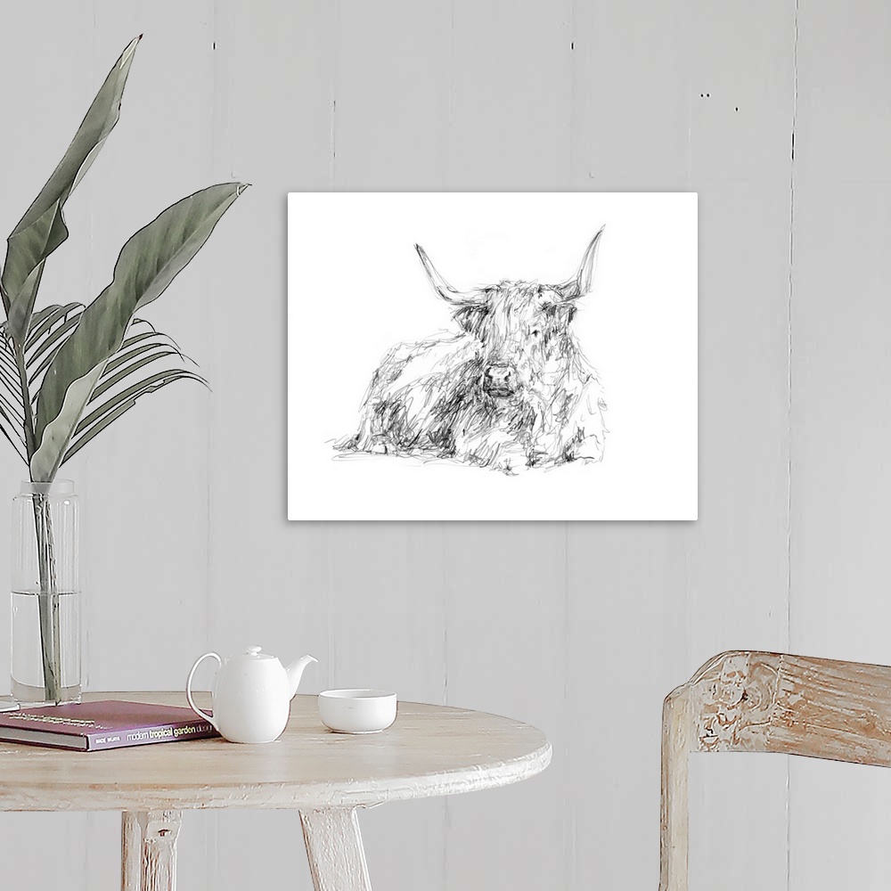 A farmhouse room featuring Highland Cattle Sketch I