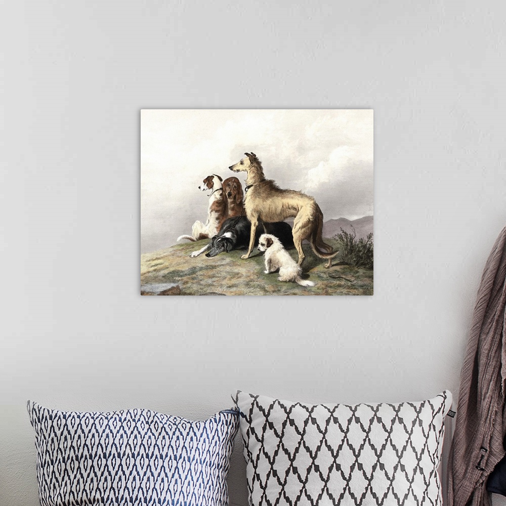 A bohemian room featuring Highland Dogs