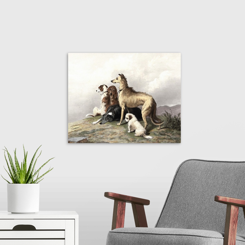 A modern room featuring Highland Dogs