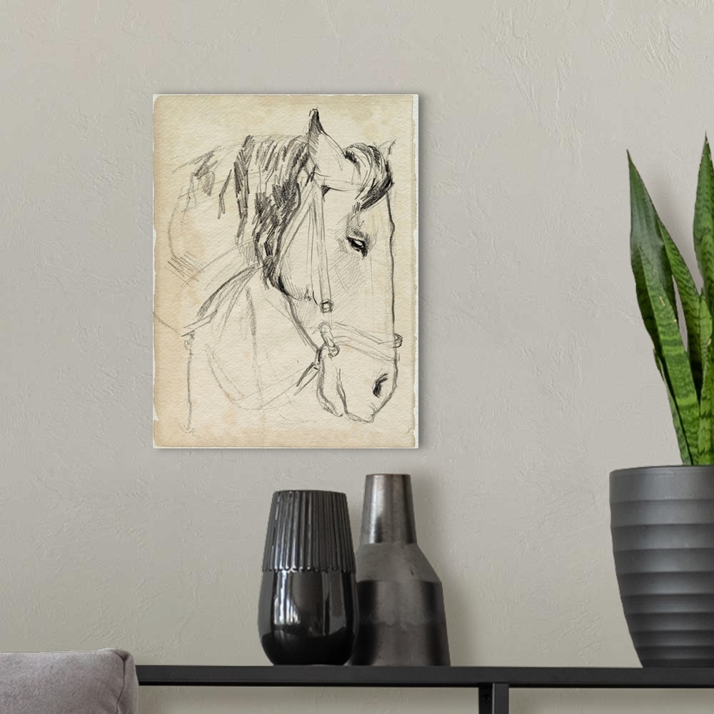 A modern room featuring Horse In Bridle Sketch I