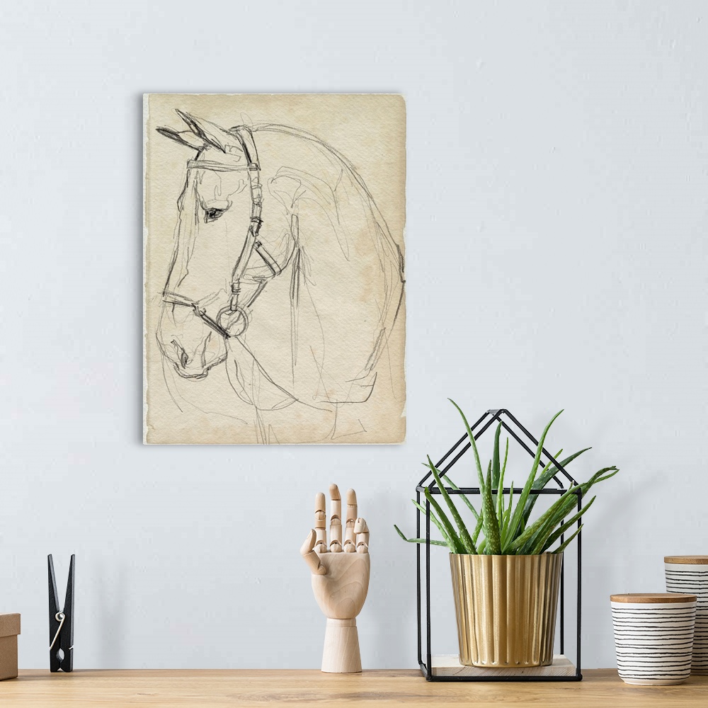 A bohemian room featuring Horse In Bridle Sketch II