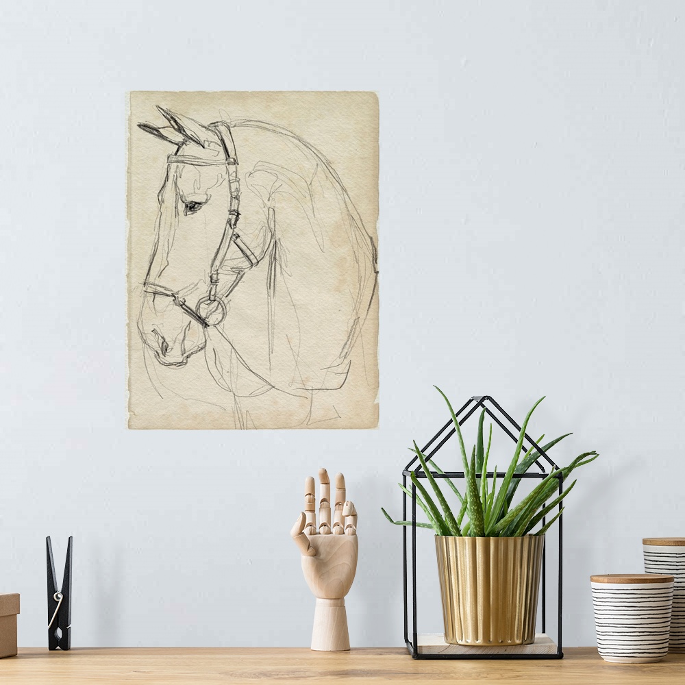 A bohemian room featuring Horse In Bridle Sketch II