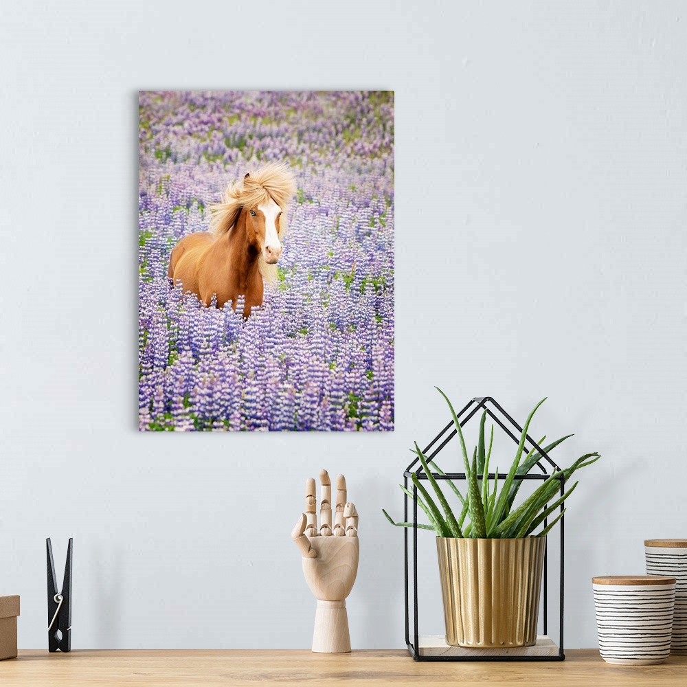 A bohemian room featuring Horse In Lavender I