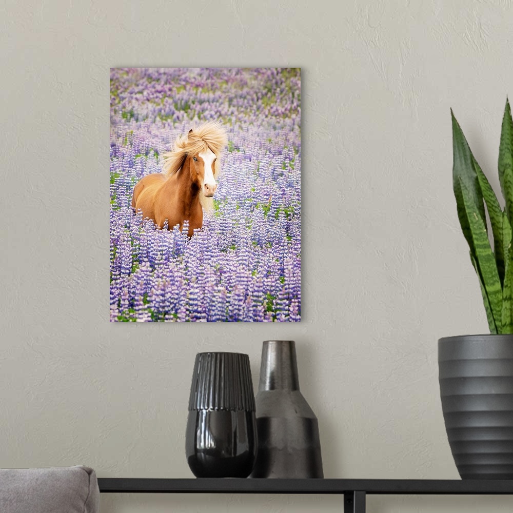 A modern room featuring Horse In Lavender I