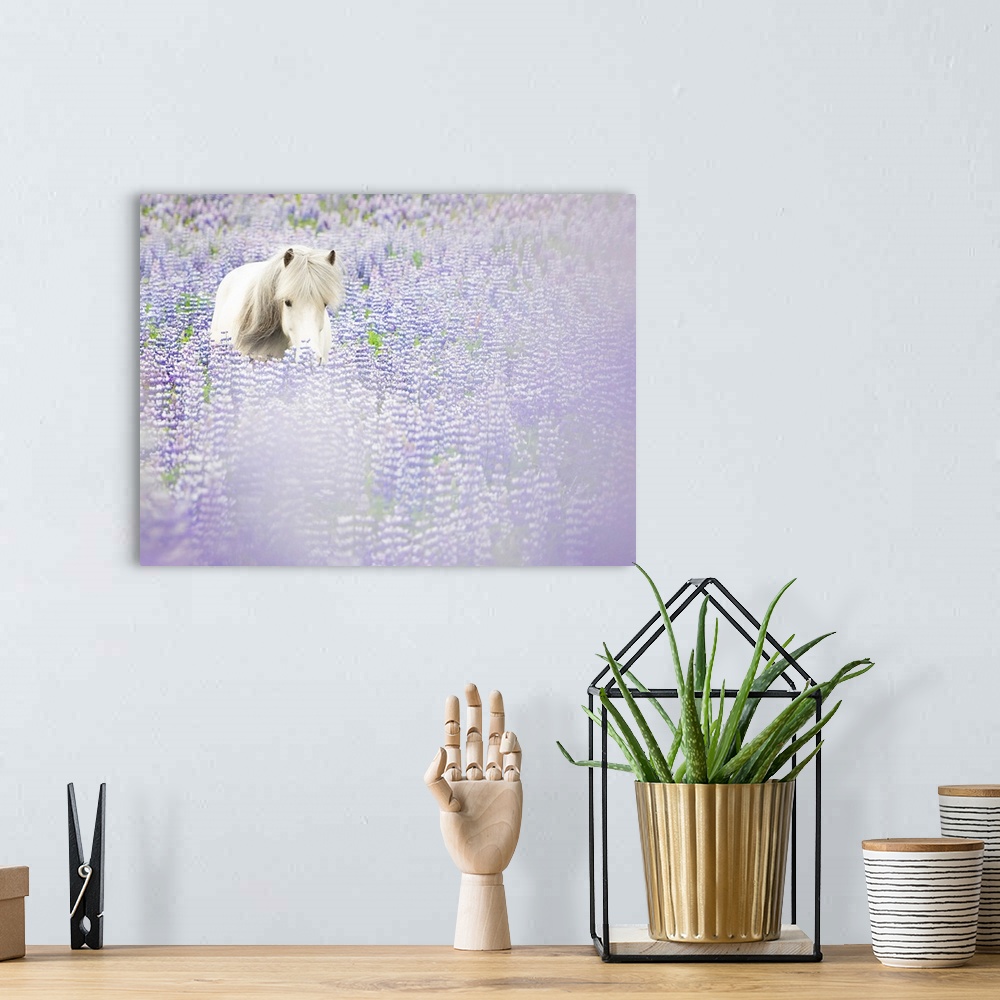 A bohemian room featuring Horse In Lavender II