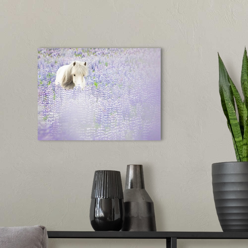 A modern room featuring Horse In Lavender II