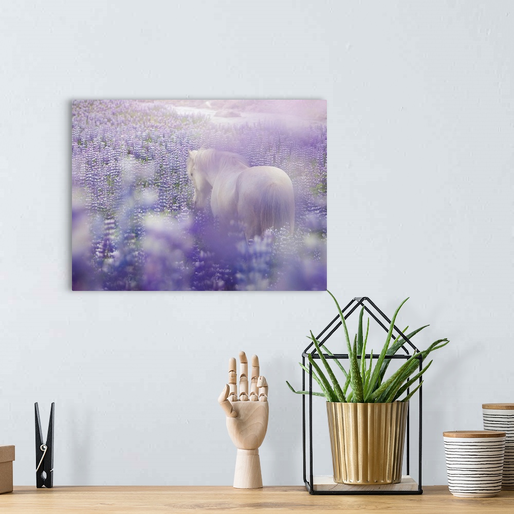 A bohemian room featuring Horse In Lavender IV