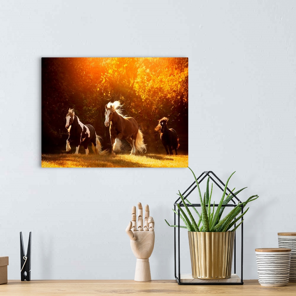 A bohemian room featuring Horse Motion V