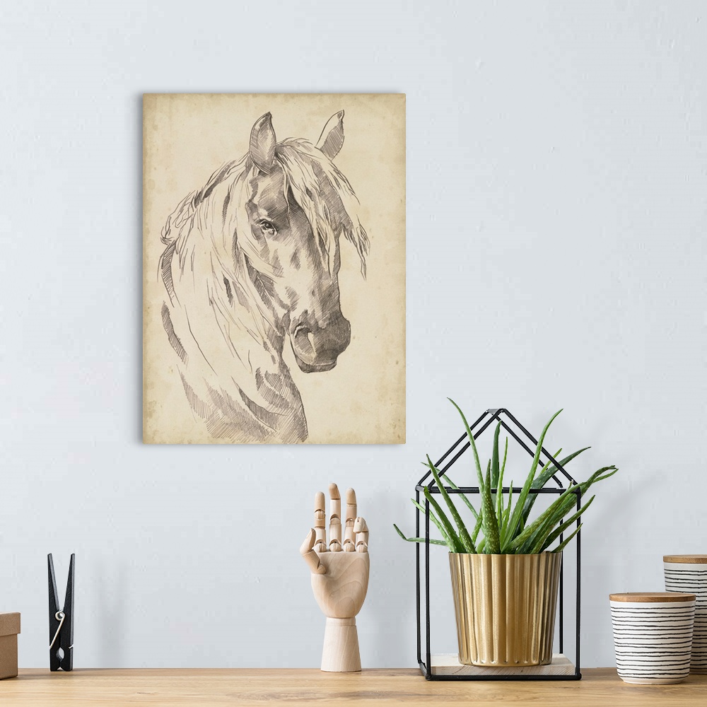 A bohemian room featuring Horse Portrait Sketch I