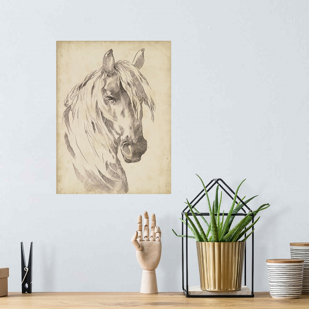 A bohemian room featuring Horse Portrait Sketch I